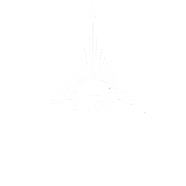Файл:Logo-standart.png